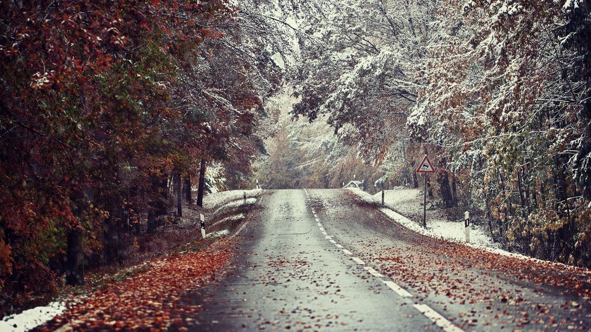 1920x1080 #leaves, #snow, #road, #winter, #landscape, wallpaper. Mocah HD Wallpaper