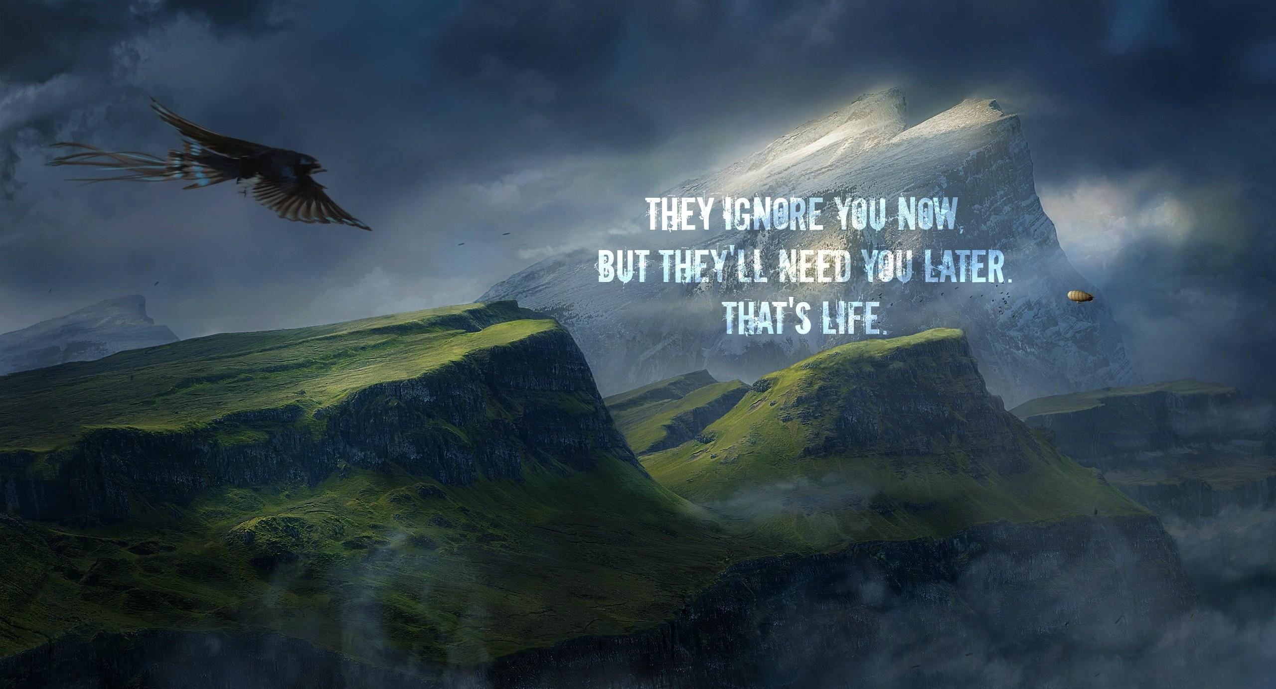 2560x1383 Nature, Landscape, Birds, Animals, Eagle, Quote, Inspirational, Mountain, Digital Art Wallpaper HD / Desktop and Mobile Background