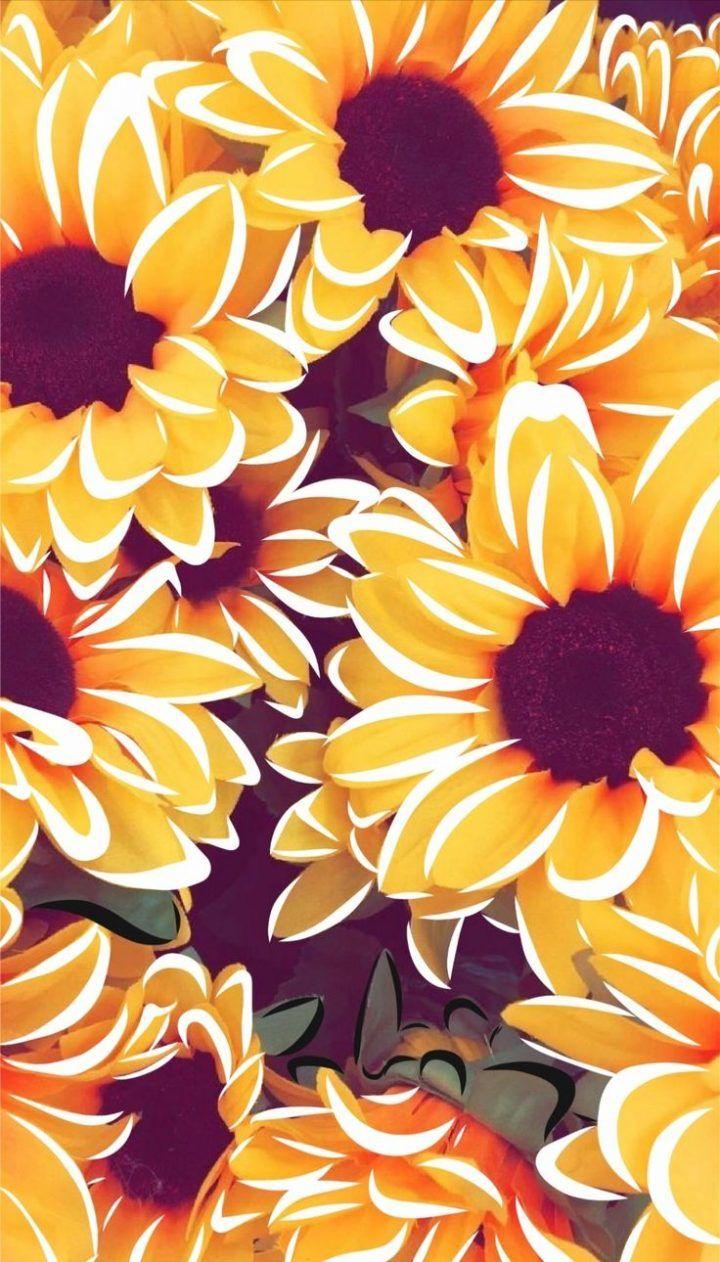 720x1262 Flower Cute Aesthetic Wallpaper