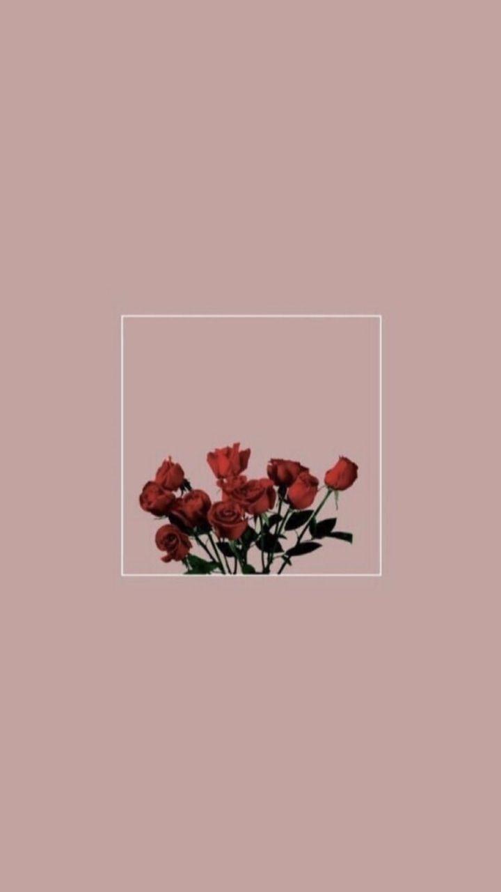 720x1280 Flower Wallpaper Tumblr iPhone