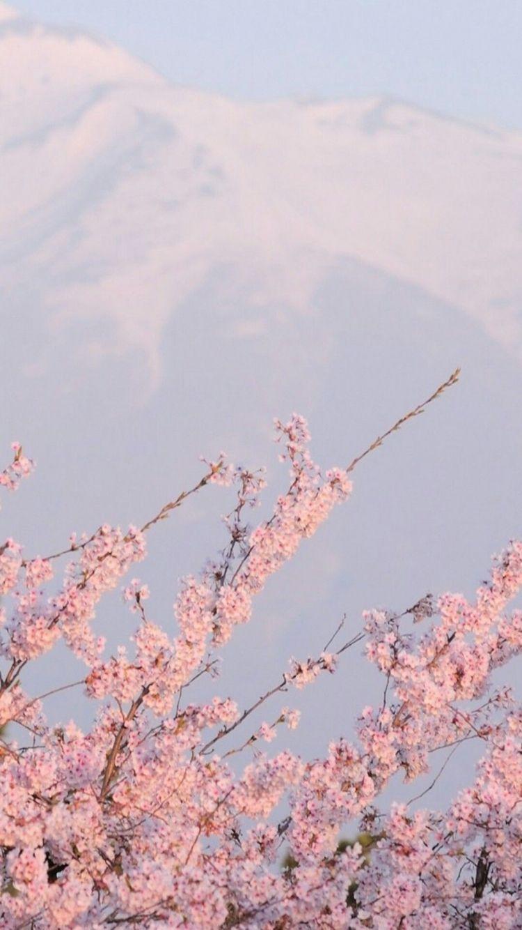 750x1334 Kawaii Aesthetic Wallpaper, HD Kawaii Aesthetic Background on WallpaperBat