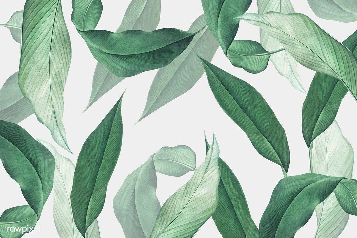 1200x800 Download premium vector of Hand drawn tropical leaves background vector. Tropical leaves illustration, Leaves illustration, Tropical leaves