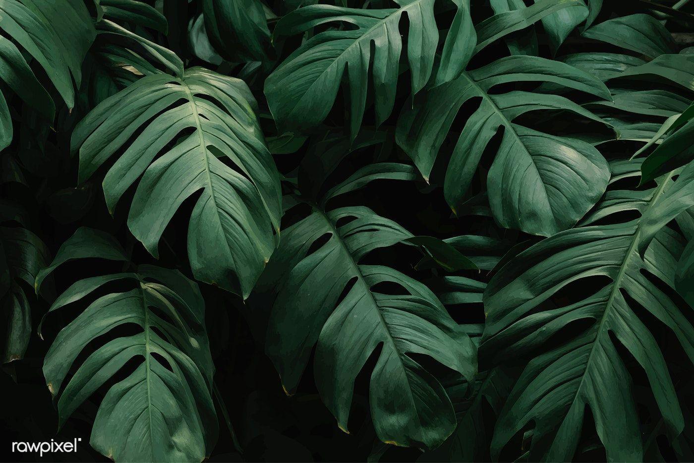 1400x934 Green Tropical Leaves Desktop Wallpaper
