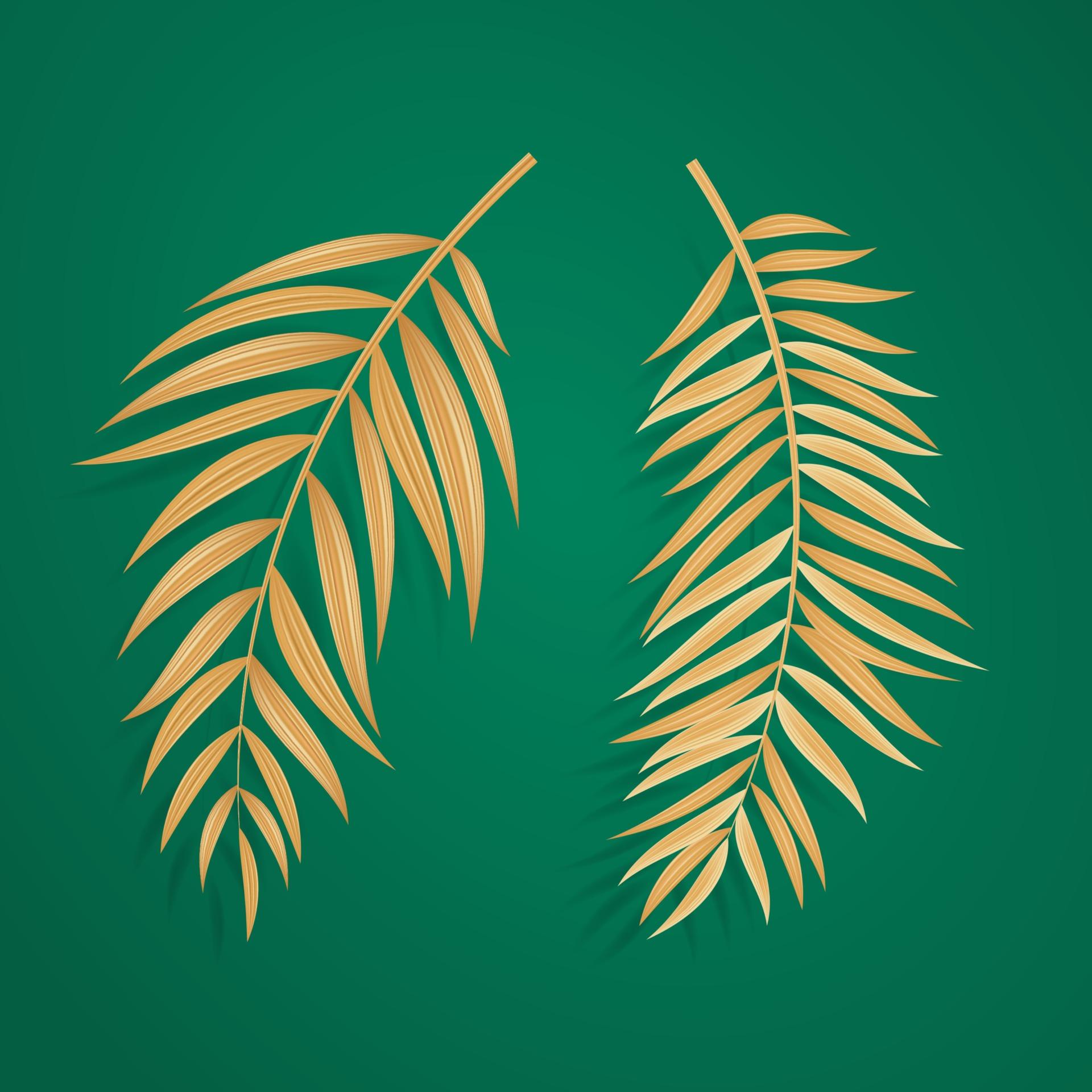1920x1920 Abstract Realistic Green Palm Leaf Tropical Background