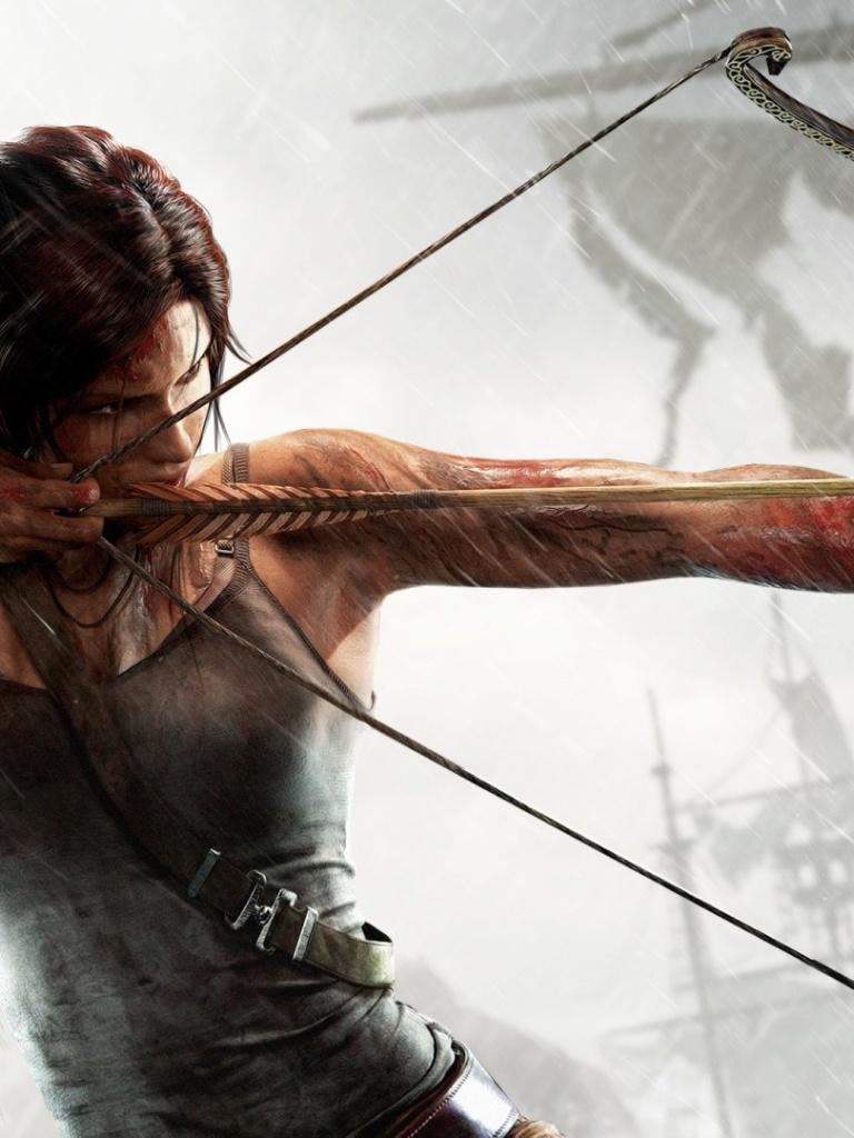 768x1024 Lara Croft Tomb Raider 2013 iPad wallpaper