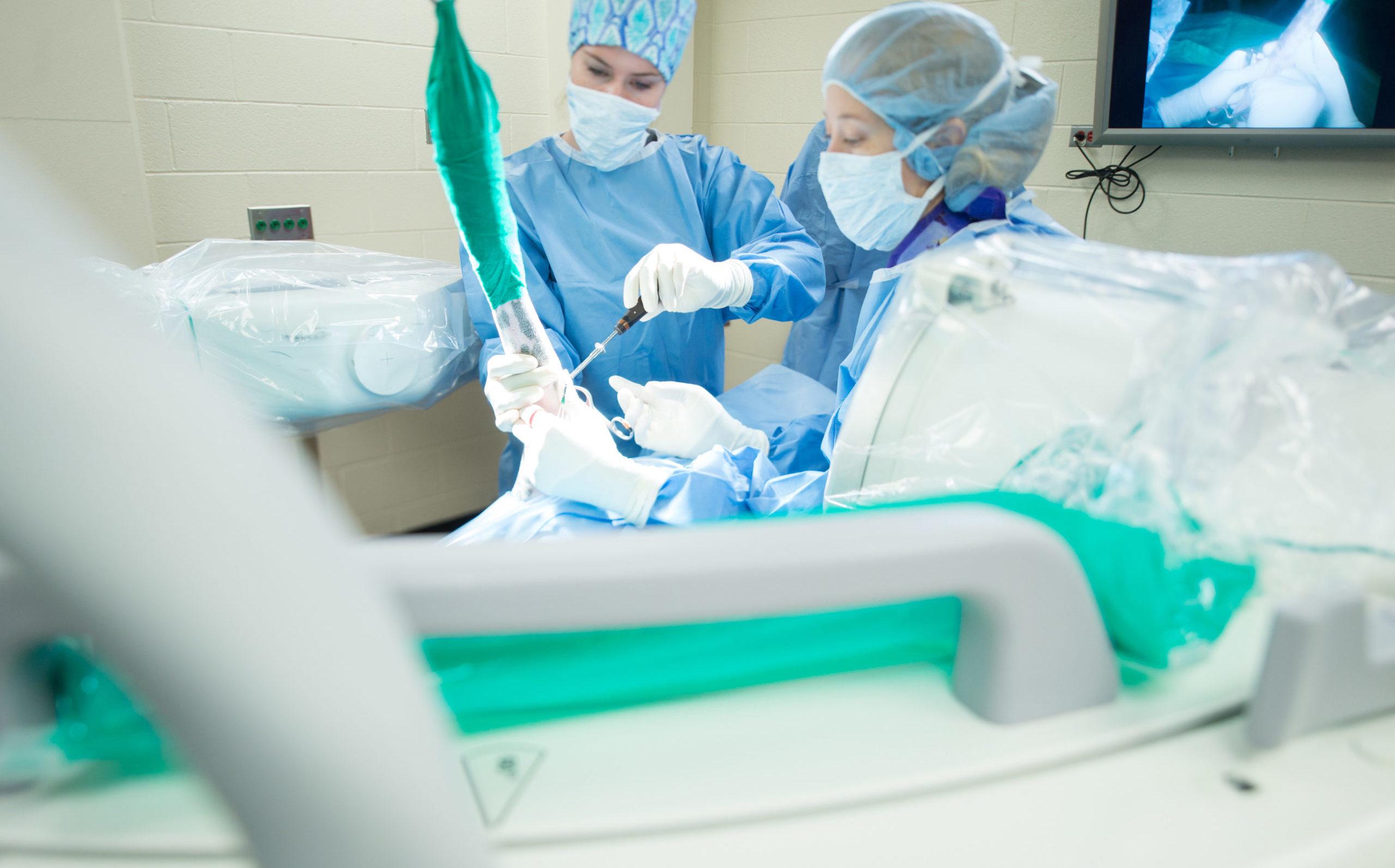 2560x1593 Small Animal Orthopedic Surgery Teaching Hospital