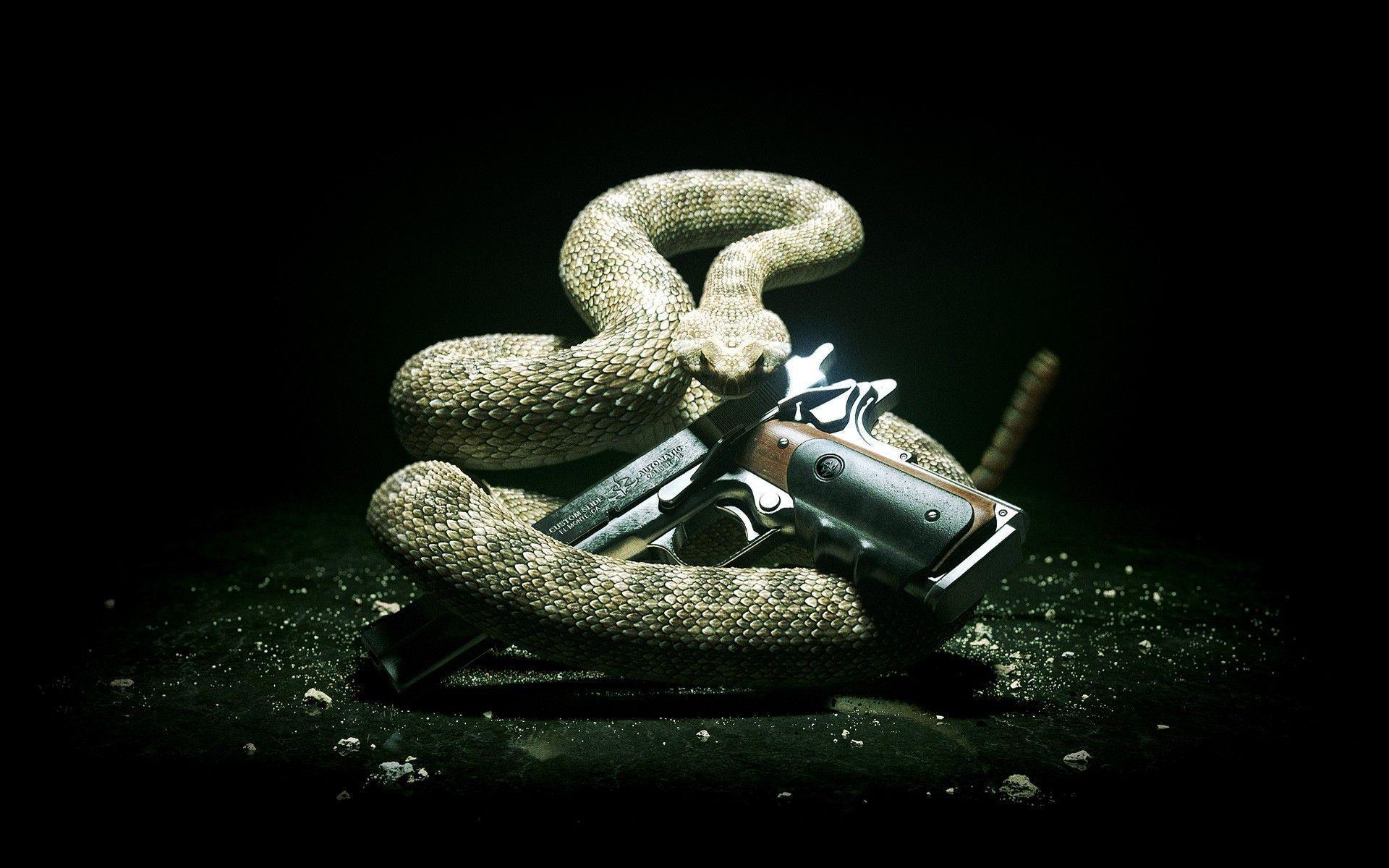 1920x1200 Snakes Wallpaper