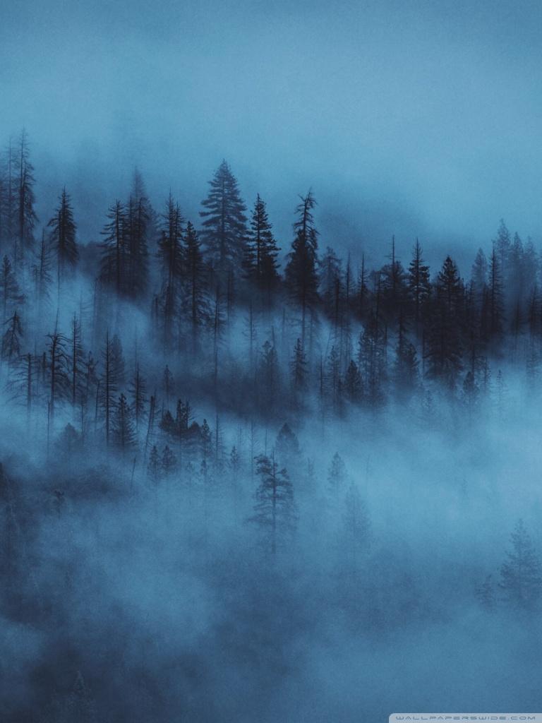 768x1024 Aesthetic iPad Blue Wallpaper