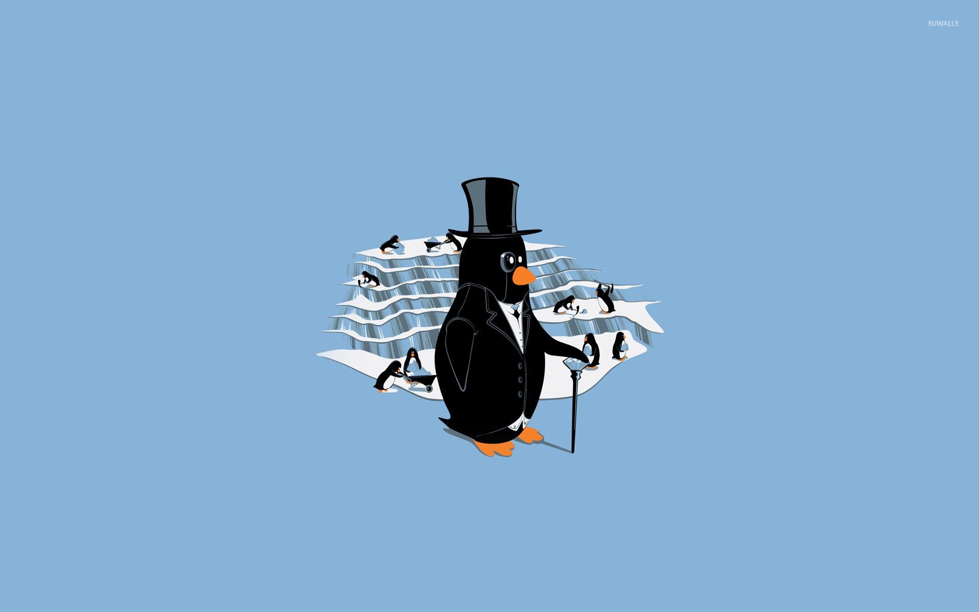 1920x1200 Classy penguin wallpaper Art wallpaper