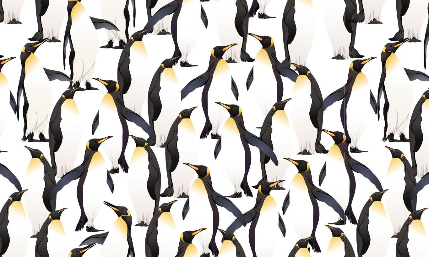 Penguin Art Wallpapers Top Free Penguin Art Backgrounds WallpaperAccess
