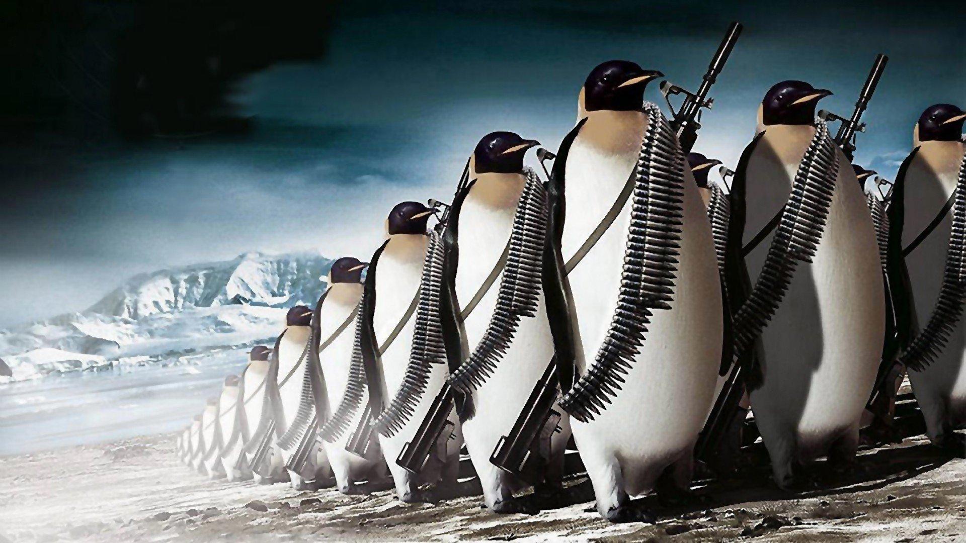 1920x1080 penguins, Machine gun, War, Digital art HD Wallpaper / Desktop and Mobile Image & Photo