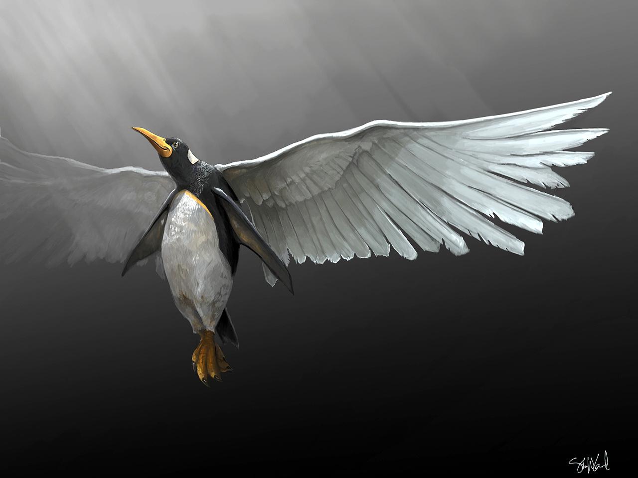 1280x960 Flying Penguin Wallpaperx960