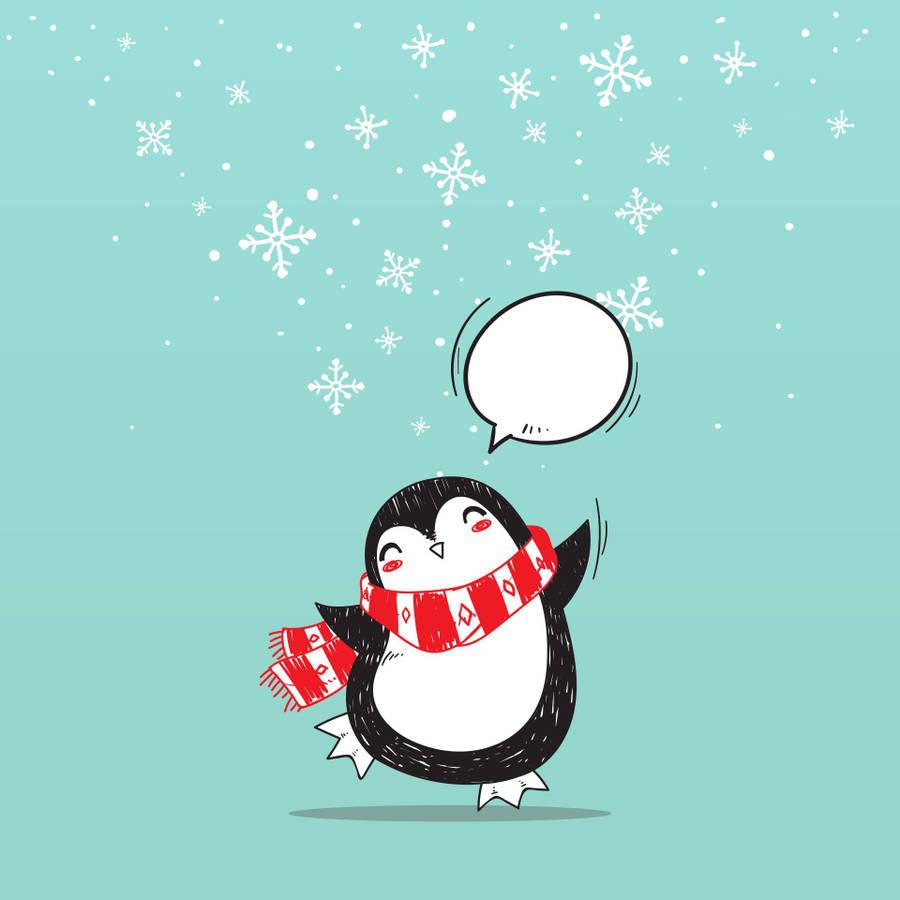 900x900 Download Penguin Wallpaper