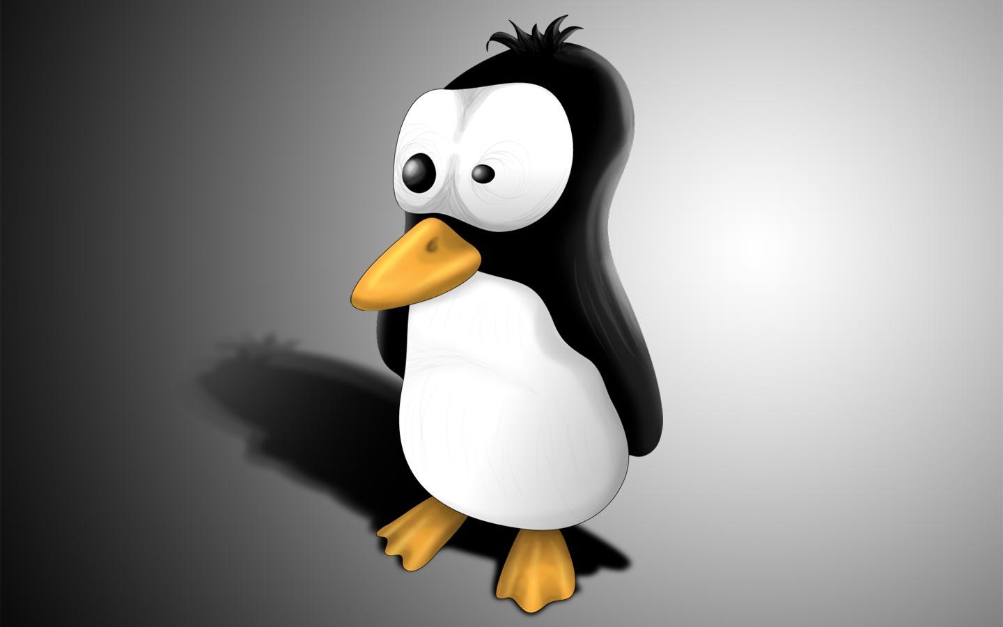 1440x900 Penguin Wallpaper