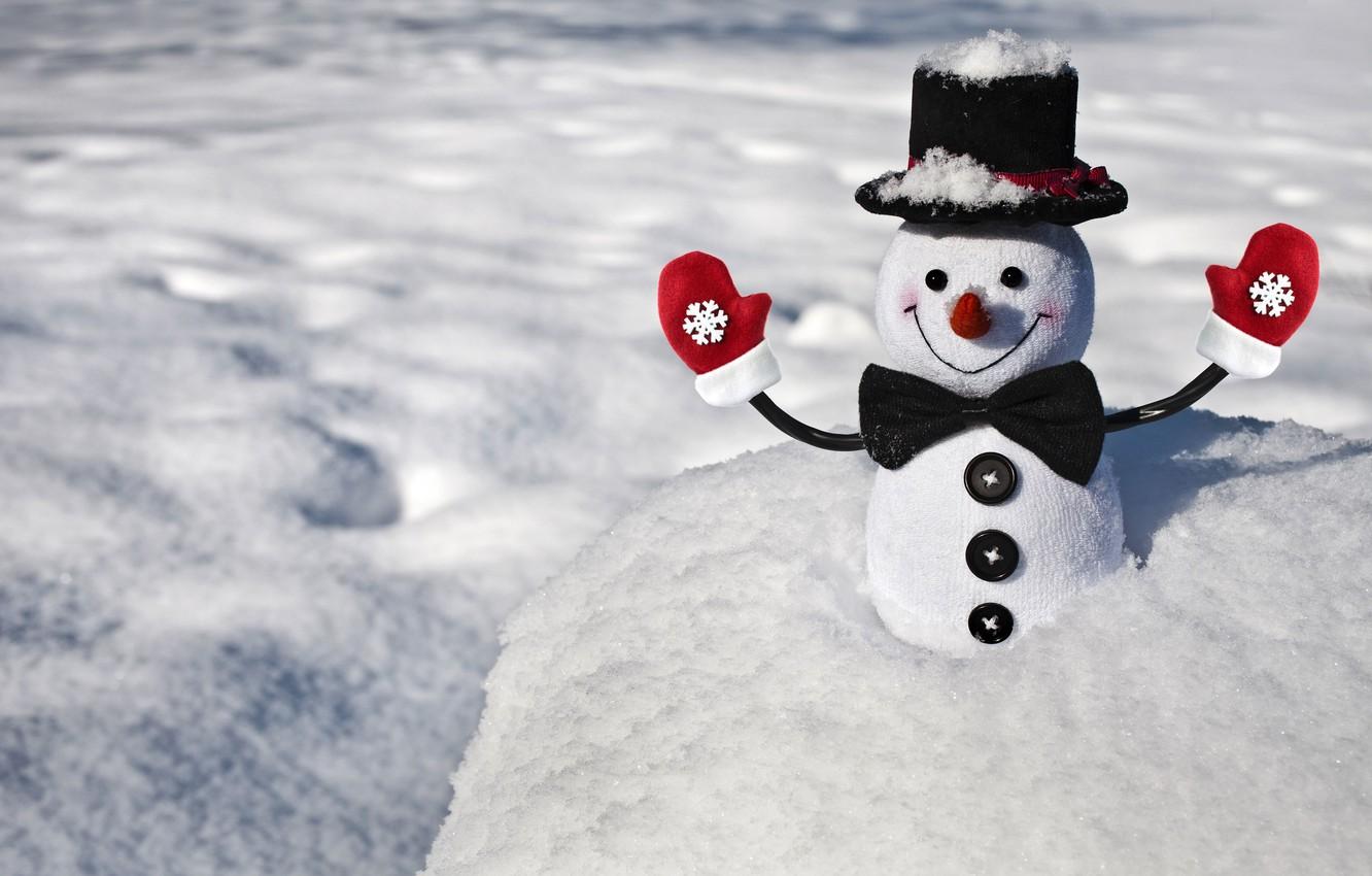 Real Snowman Wallpapers - Top Free Real Snowman Backgrounds ...