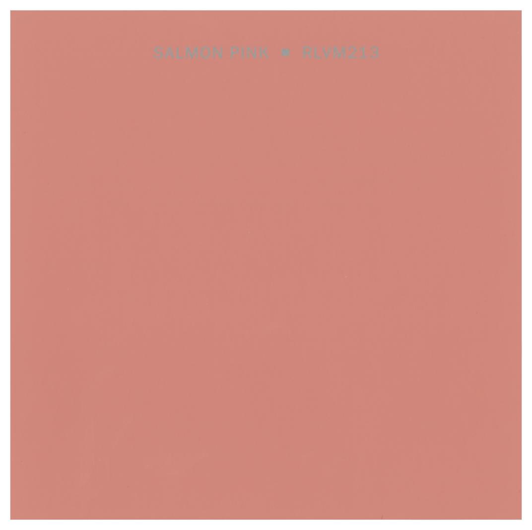 Salmon Pink Wallpapers Top Free Salmon Pink Backgrounds WallpaperAccess