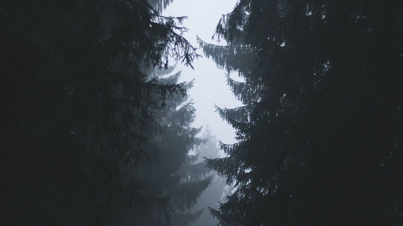1366x768 Simple Nature Wallpaper, HD Simple Nature Background