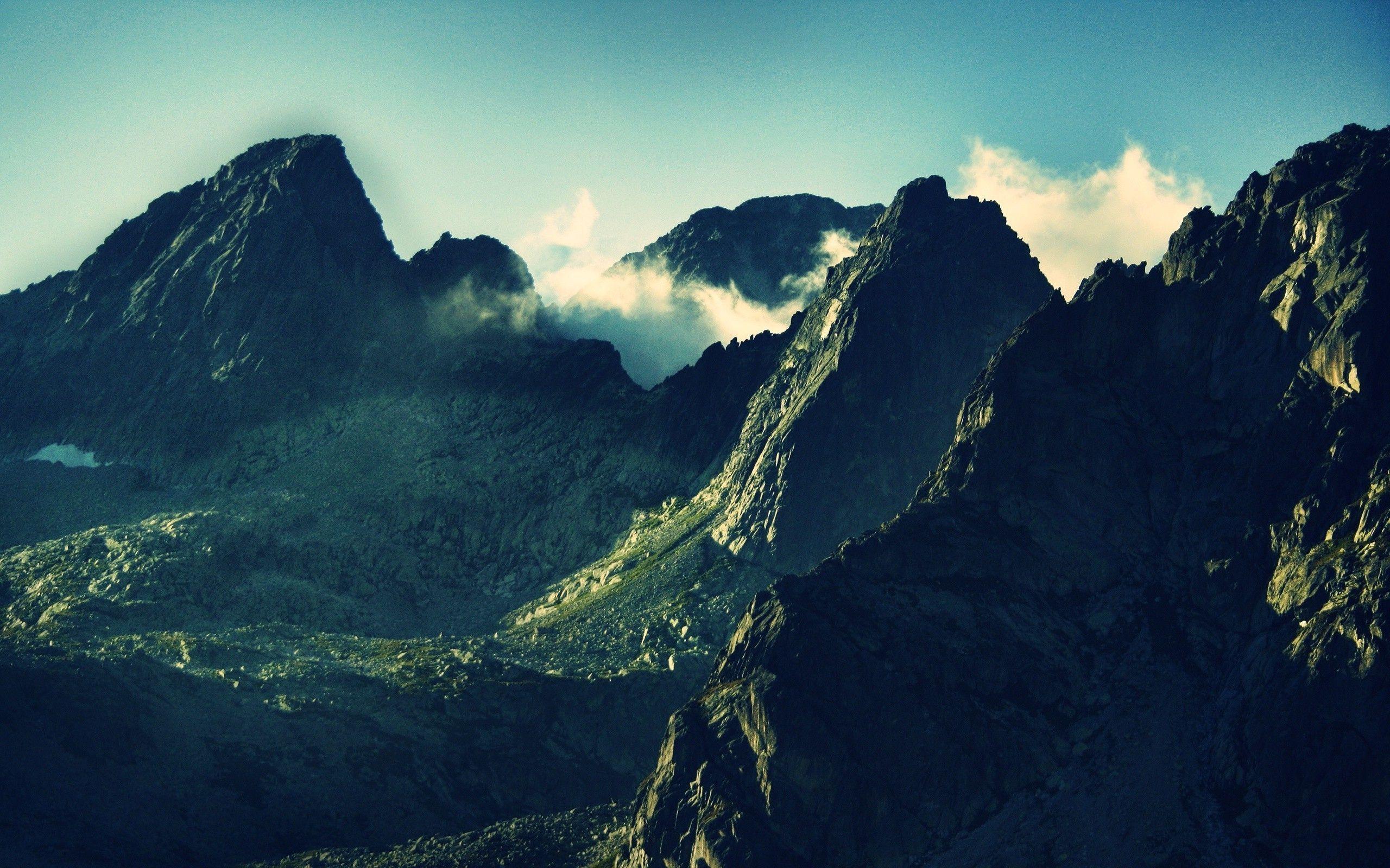 2560x1600 Minimal Nature Wallpaper