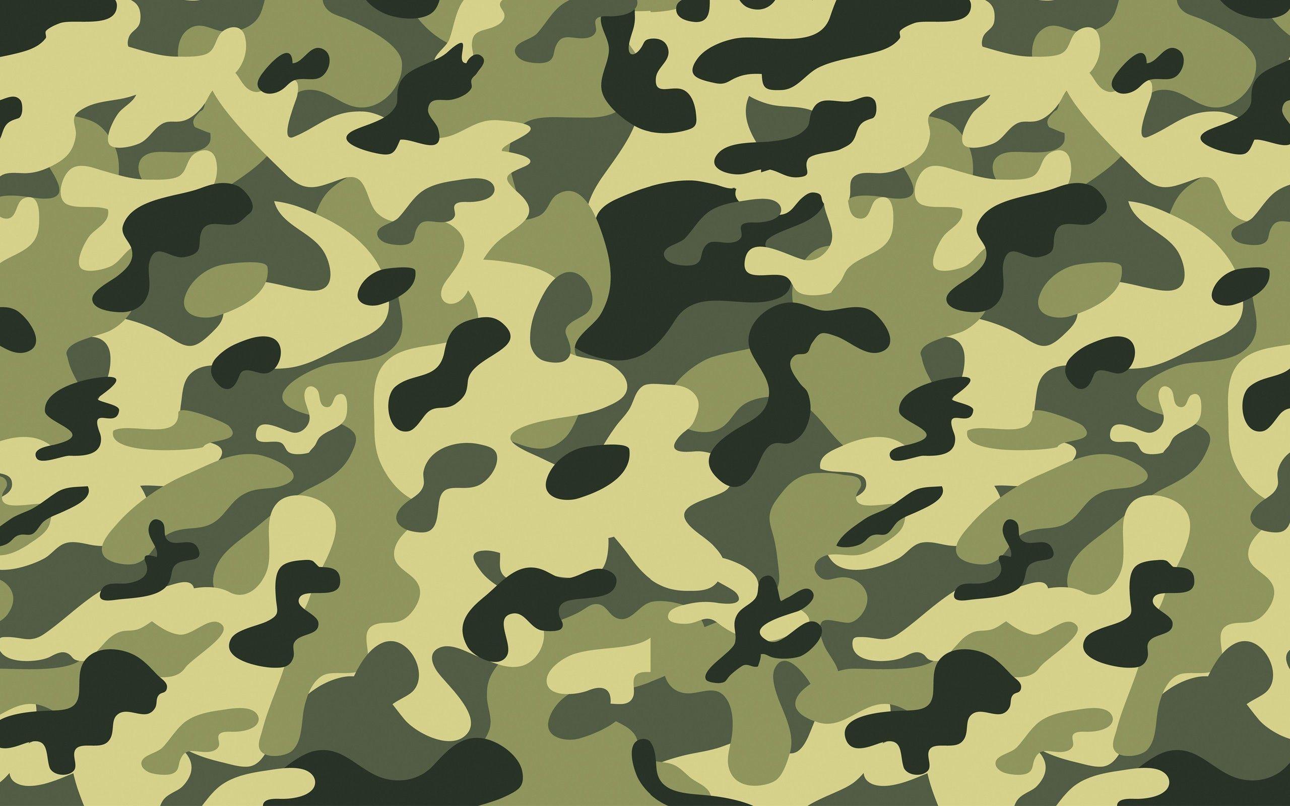 2560x1600 Green Camouflage Wallpaper