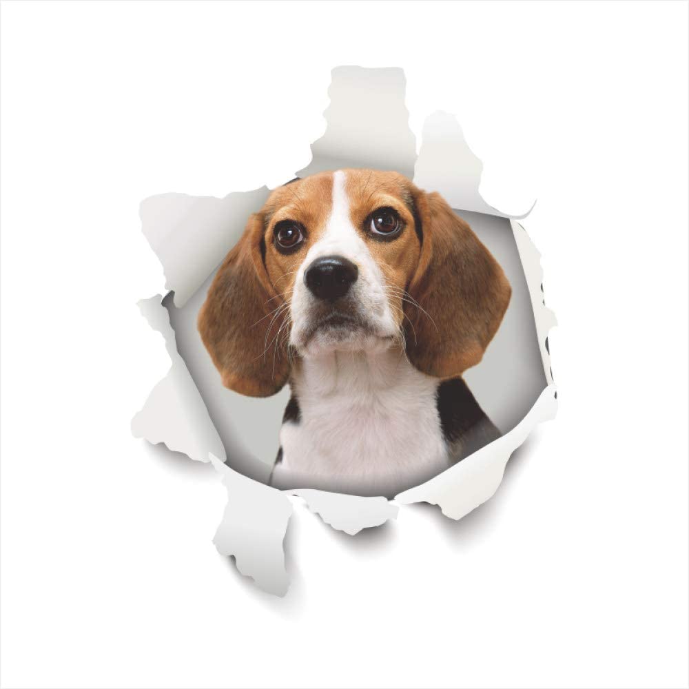 1000x1000 Wall Stickers, Pet Beagle Funny Breakthrough 3D Wall Sticker Diy Art Wallpaper Suitable For Travel Suitcase Bathroom Home Decoration: Amazon.co.uk: Kitchen & Home