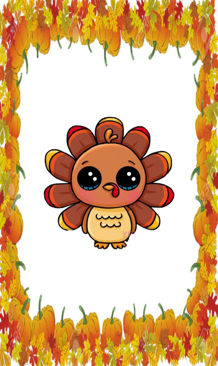 762x1280 Download Cute Turkey HD Wallpaper and Background