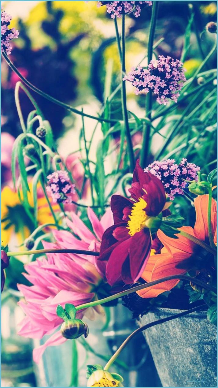 713x1268 Floral IPhone 12 Plus Wallpaper For A Sunny Spring Preppy iPhone Wallpaper