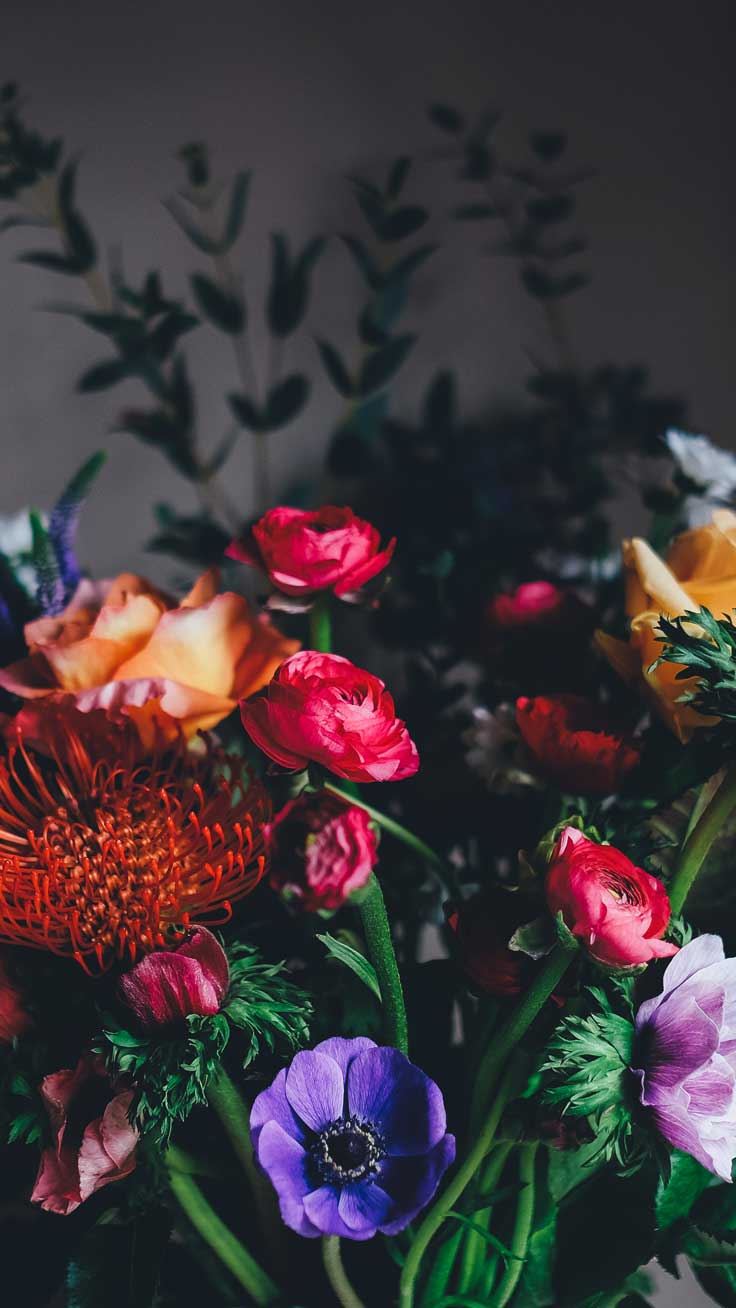 736x1308 Pretty Flowers iPhone Wallpaper