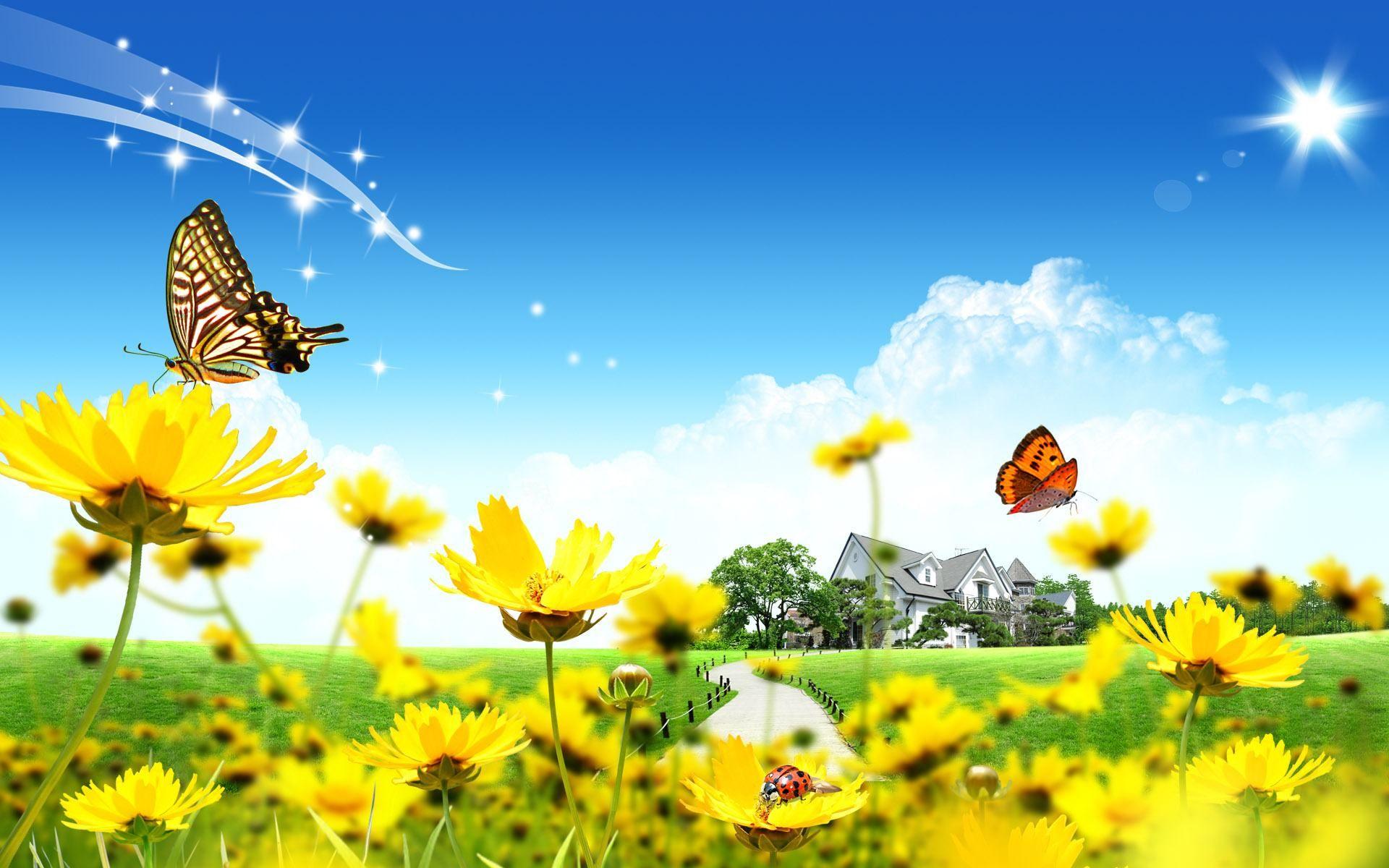 1920x1200 Free download Sunny Day Wallpaper 12570 Beautiful flowers wallpaper [1920x1200] for your Desktop, Mobile & Tablet. Explore Pretty Sunny Day Wallpaper. Pretty Sunny Day Wallpaper, Sunny Day Background, Sunny Day Wallpaper