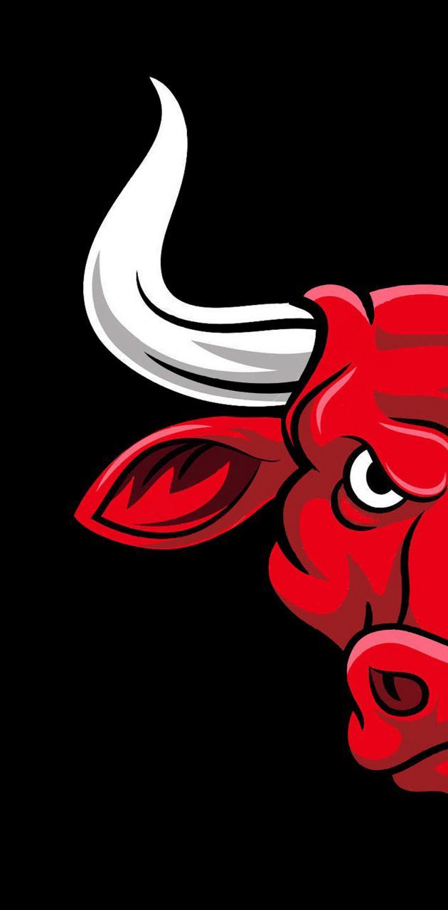 630x1280 Chicago Bulls wallpaper