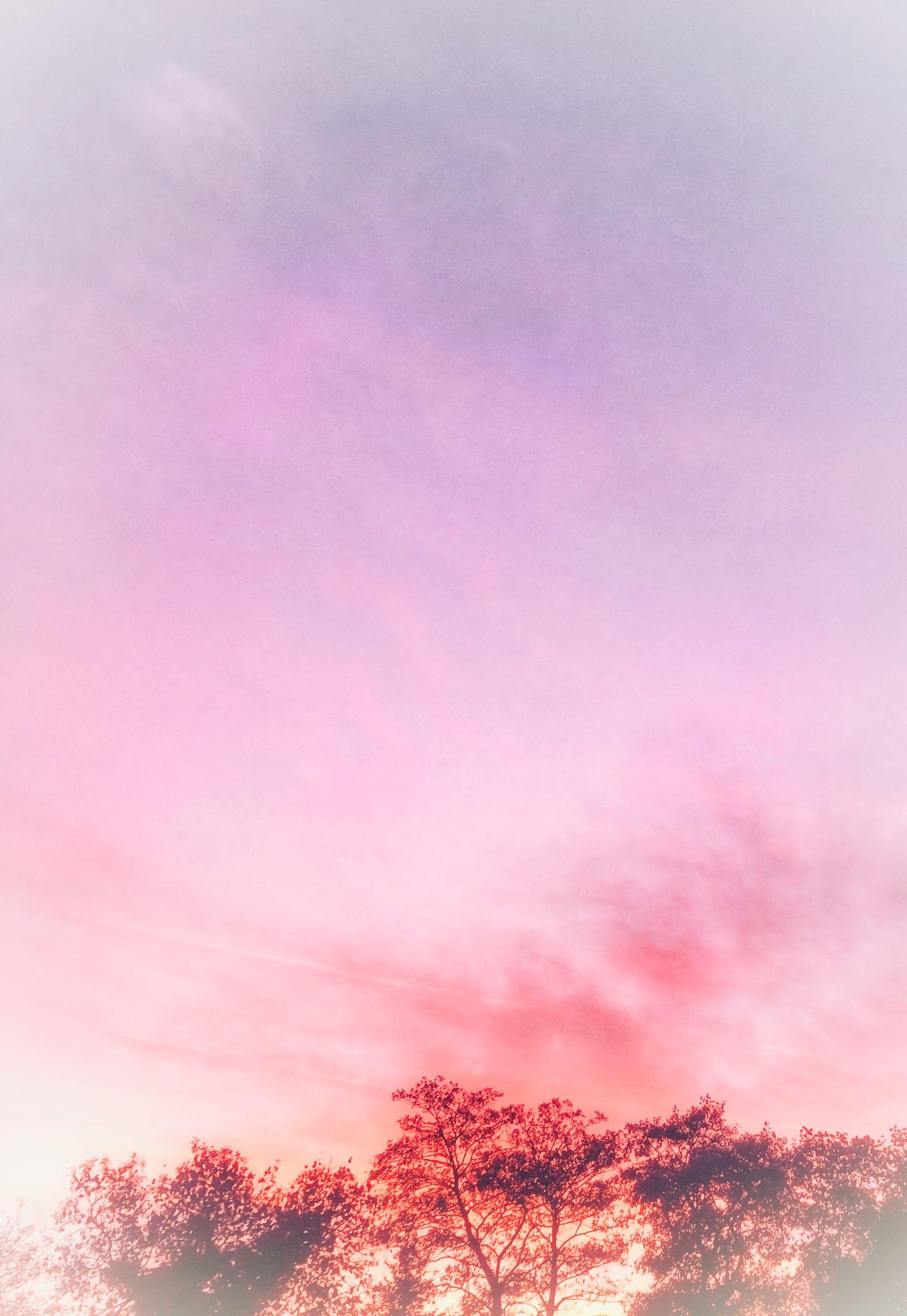 Pink Sky Sunset Wallpapers - Top Free Pink Sky Sunset Backgrounds -  WallpaperAccess