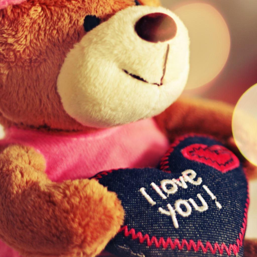 1024x1024 Best Bear iPad HD Wallpaper