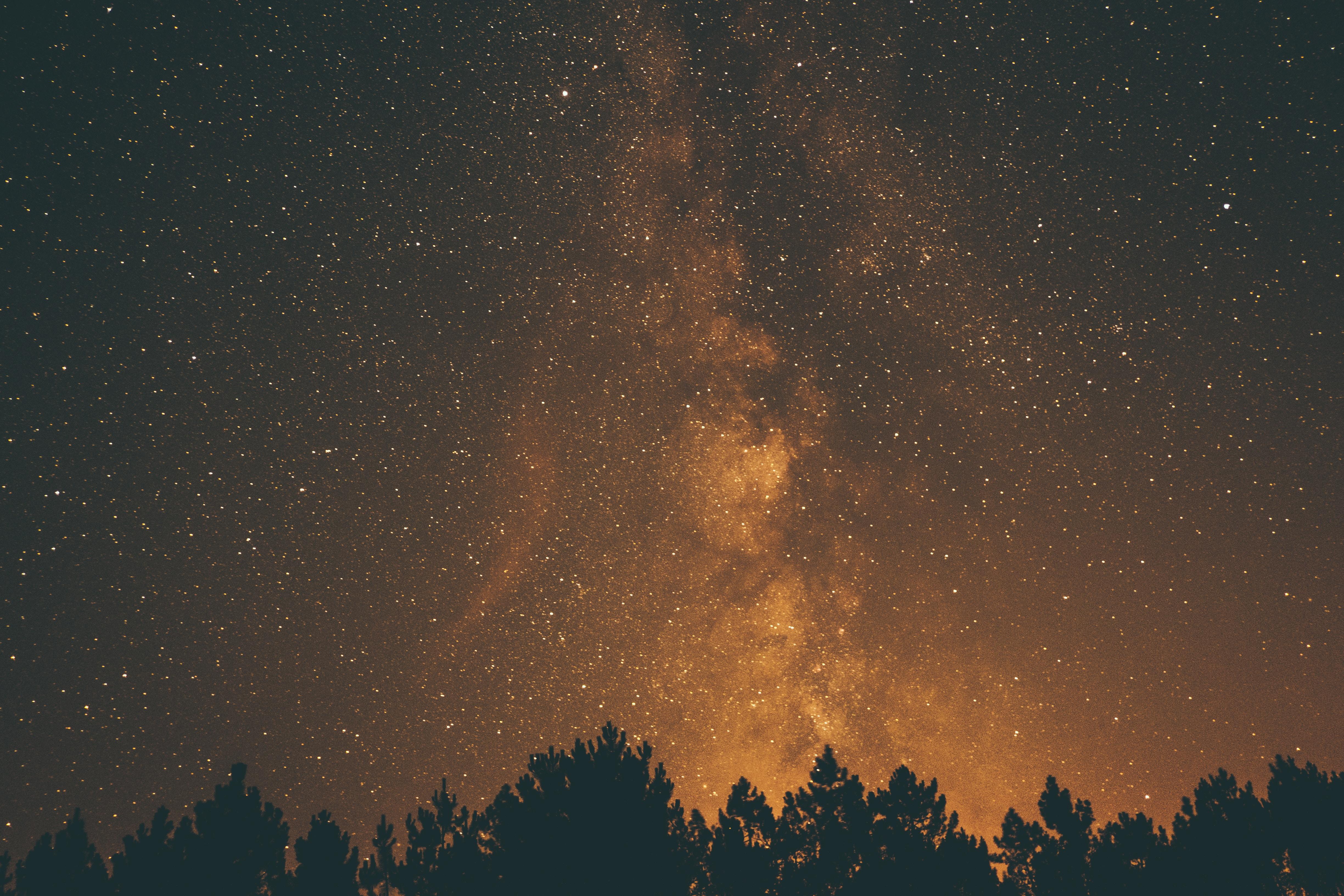 4896x3264 4896x3264 #planet, #Free image, #sky, #brown, #constellation, #star, #tree, #milky way, #looking up, #night, #gazing, #tree top, #duotone, #twlinking, #galaxy, #silhouette, #dark, #gold, #forest, #night sky, #long exposure. Mocah HD Wallpaper
