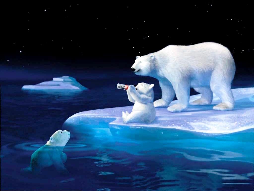 1024x768 Free download Polar Bears Desktop Wallpaper photo of 3D Wallpaper for Desktop [1024x768] for your Desktop, Mobile & Tablet. Explore Bear Wallpaper for Desktop. Black Bear Wallpaper, Teddy Bear