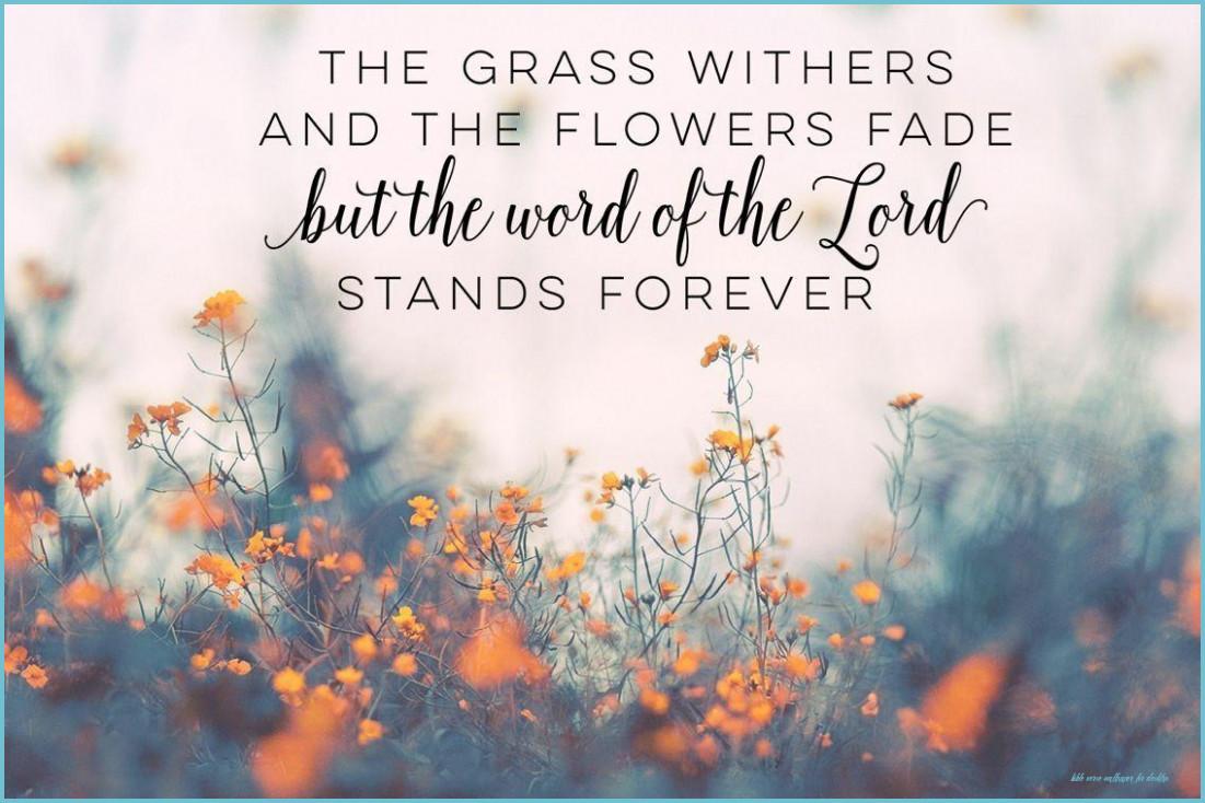 1101x734 Bible Verses Wallpaper Desktop Verse Wallpaper For Desktop