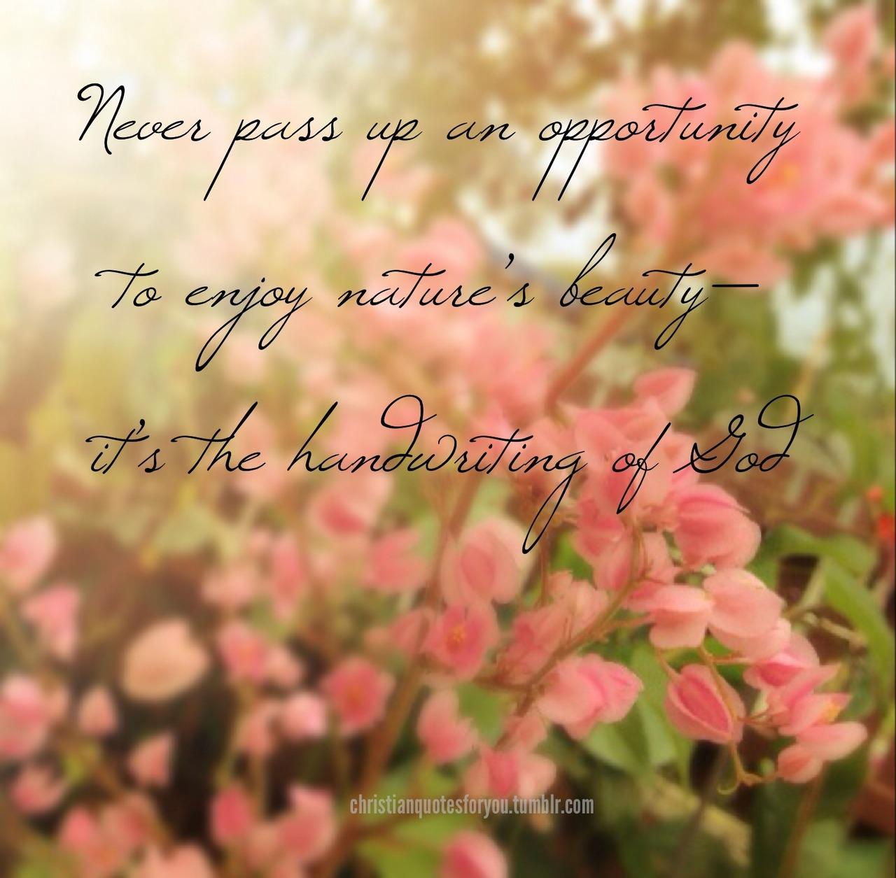 1280x1255 Bible Quotes About Natures Beauty. QuotesGram