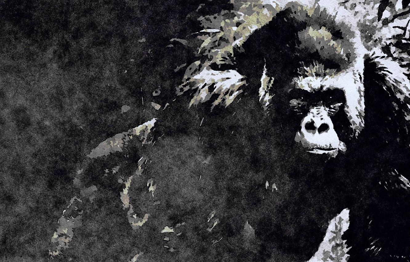1332x850 Wallpaper nature, art, painting, gorilla, picture, a monkey, graphic arts image for desktop, section животные