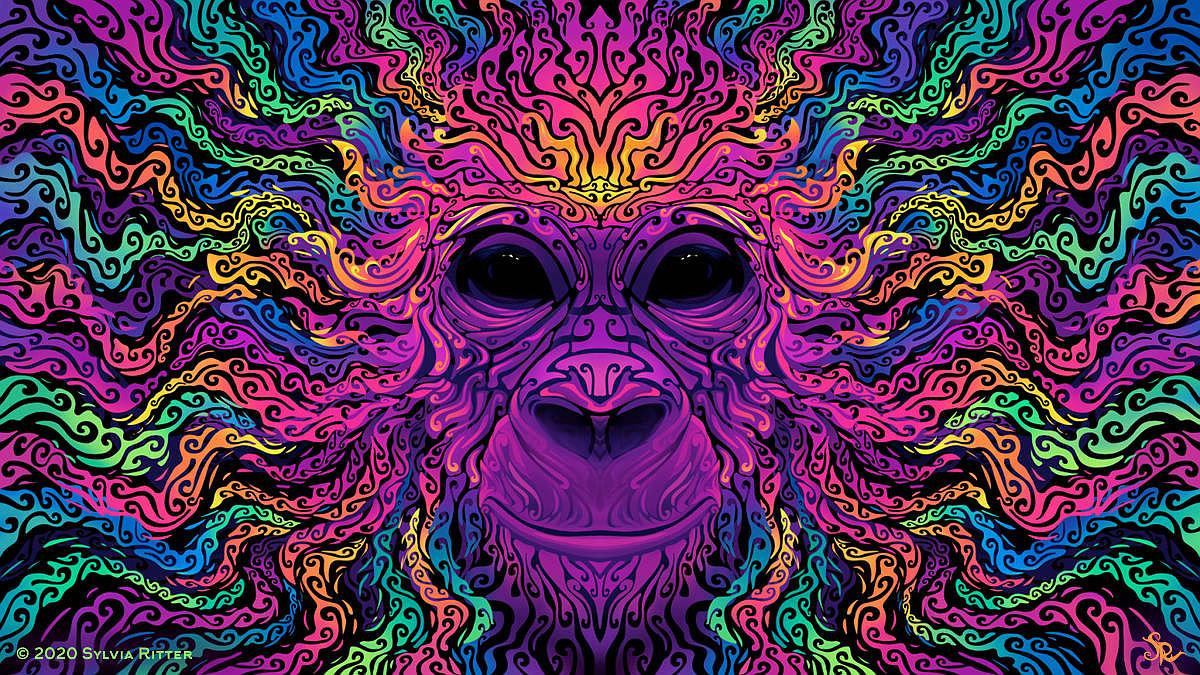 1200x675 A groovy gorilla: wallpaper