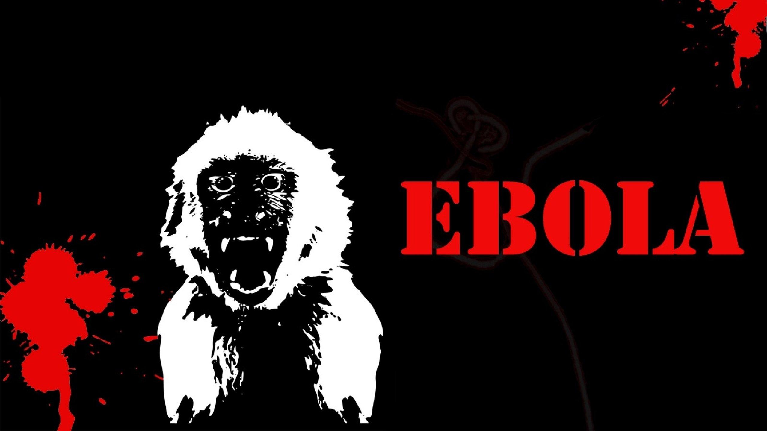2560x1440 ebola, Virus, Disease, Medical, Dark, Horror, Monkey, Blood Wallpaper HD / Desktop and Mobile Background