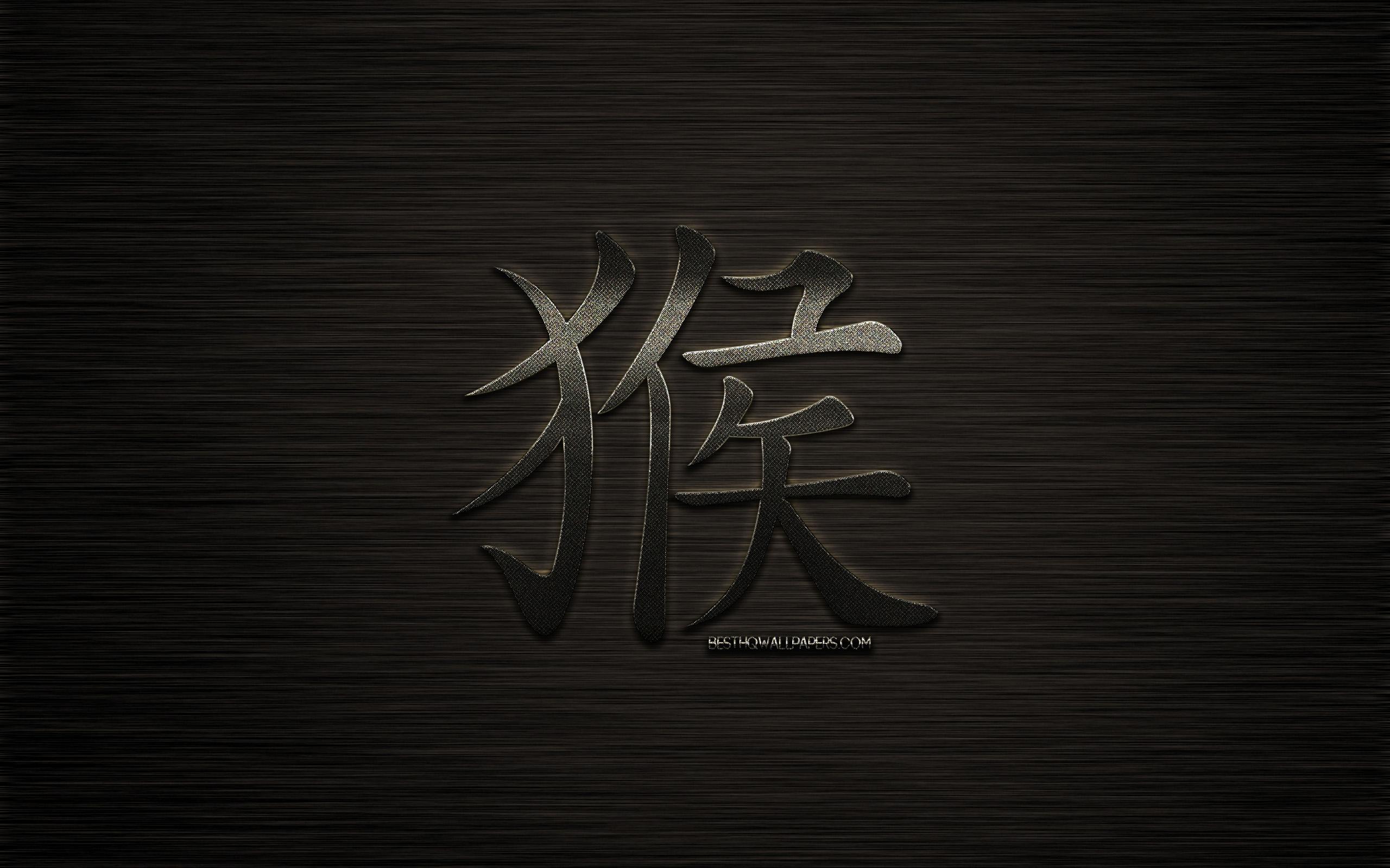 2560x1600 Download wallpaper Monkey hieroglyph, chinese zodiac sign, metal hieroglyph, Monkey kanji hieroglyph, dark metal background, year of the Monkey, chinese horoscope, Monkey, chinese zodiac signs for desktop with resolution 2560x1600. High Quality