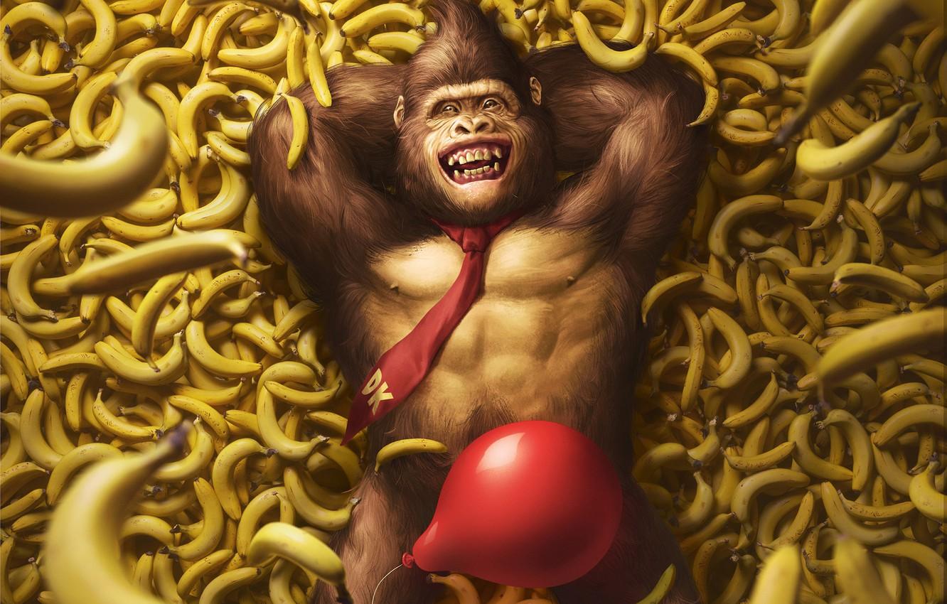 1332x850 Wallpaper The game, Ball, Bananas, Art, Art, Nintendo, Illustration, Donkey Kong, Characters, Monkey, Banana, Balloon, Gorilla, Gorilla, Donkey Kong, Giselle Almeida image for desktop, section арт