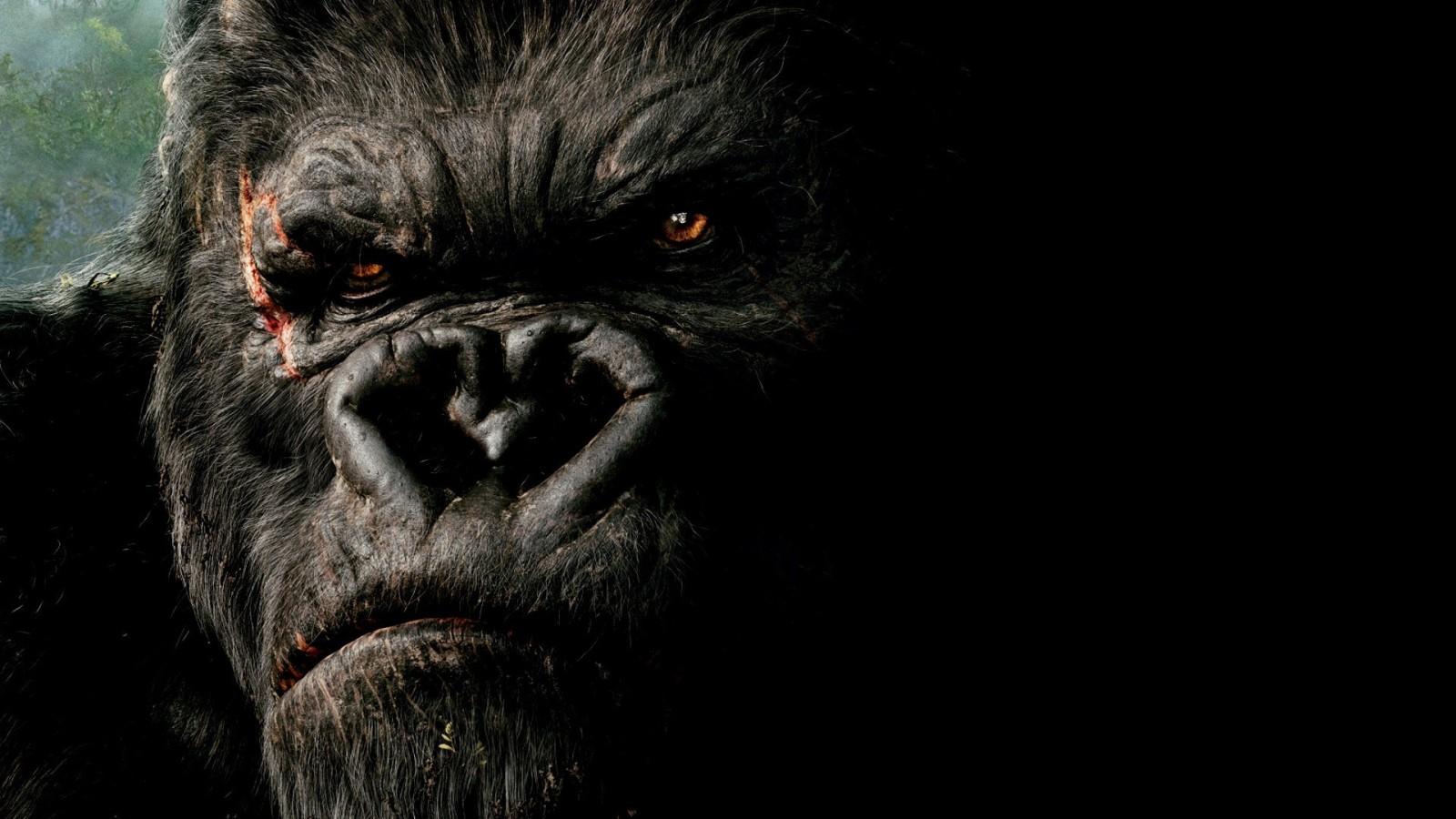 1600x900 King Kong, darkness, mammal, great ape, primate. Mocah HD Wallpaper