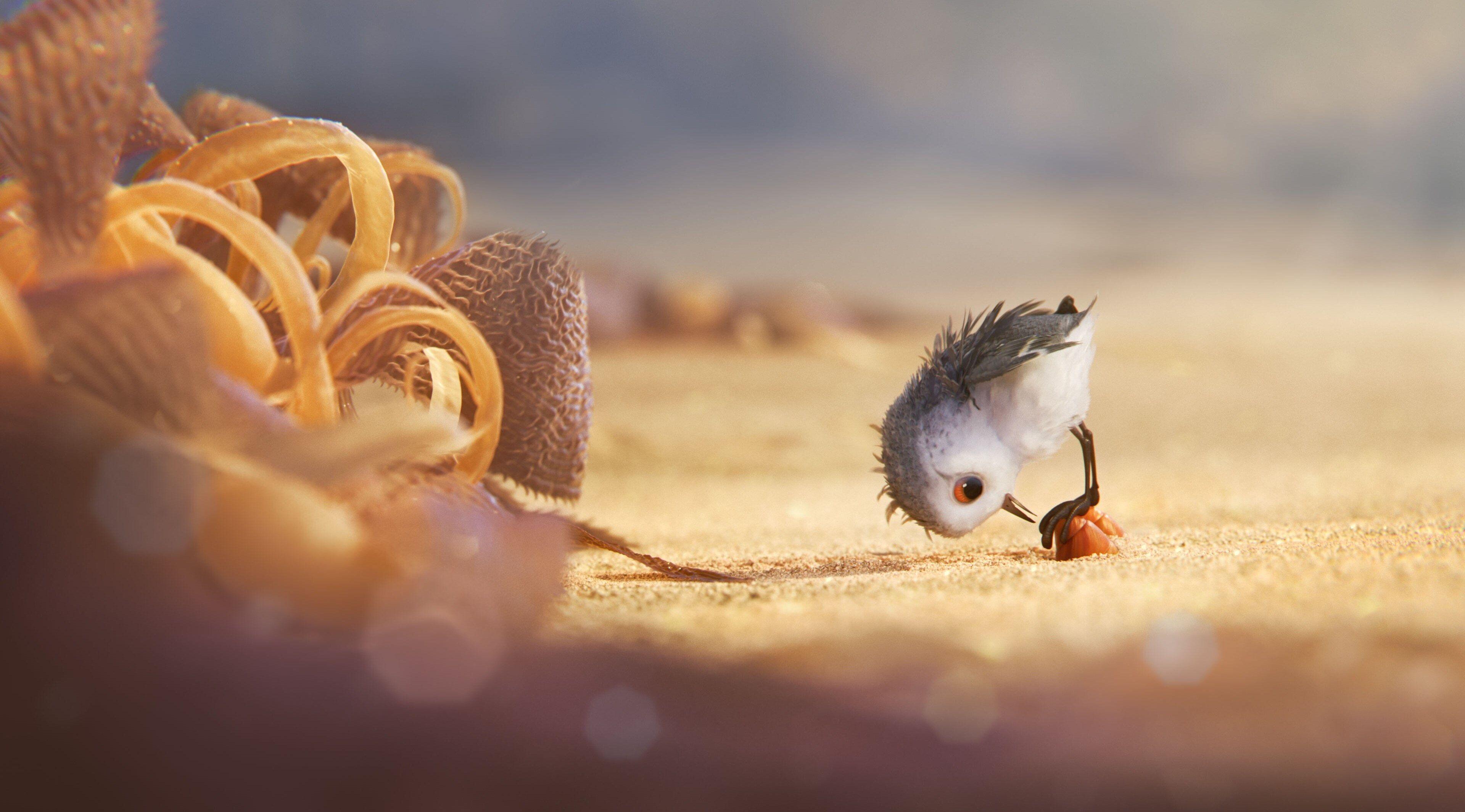 3840x2130 piper 4k download HD pc wallpaper. Pixar shorts, Piper pixar, Disney pixar