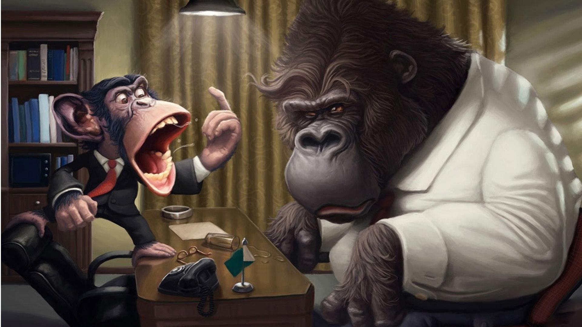 1920x1080 gorillas