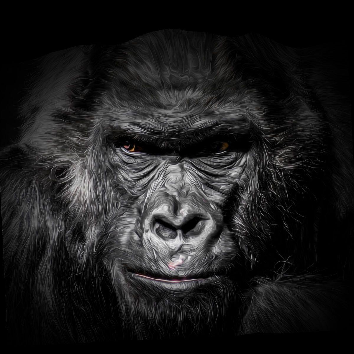 1200x1200 Drawn Gorilla