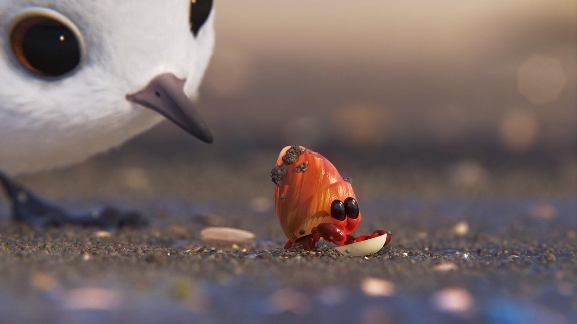 Пиксар песочник. Piper (песочник, 2016) Pixar. Piper песочник 2016. Piper 2016 Pixar. Короткометражка Дисней про песочника.