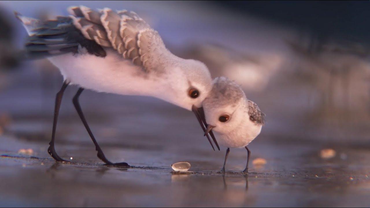 1280x720 Behind the Scenes of Piper, Pixar's New Short Film