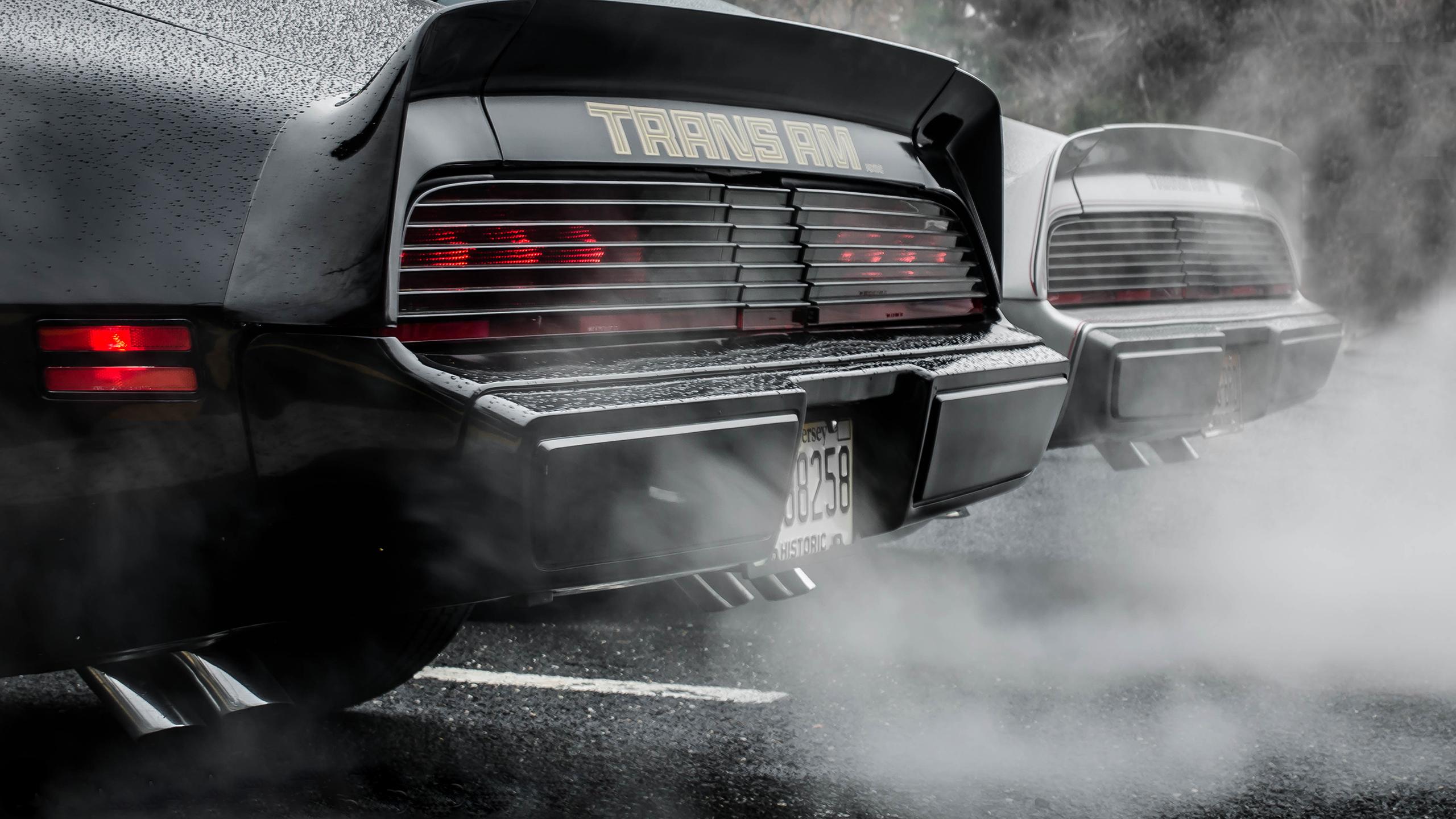 2560x1440 Pontiac Trans Am HD Wallpaper