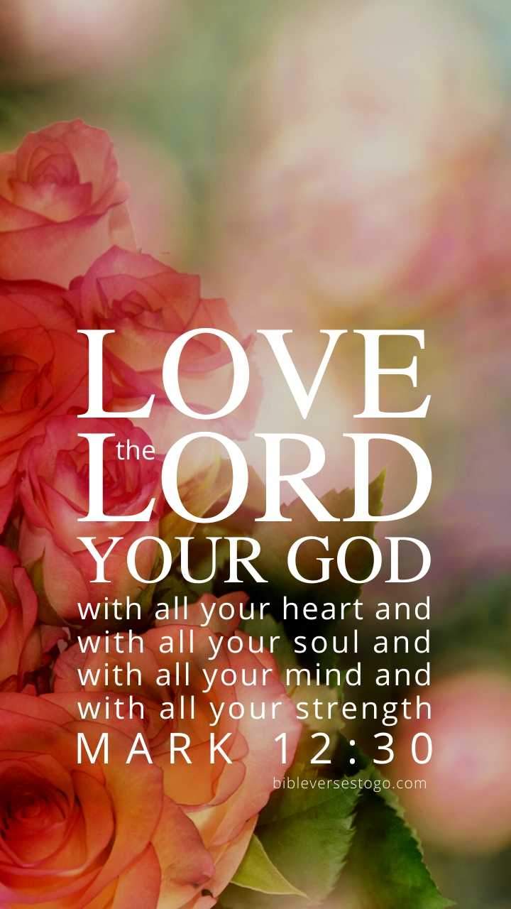 720x1280 Pink Scripture Wallpaper 500 FREE Downloads Verses To Go