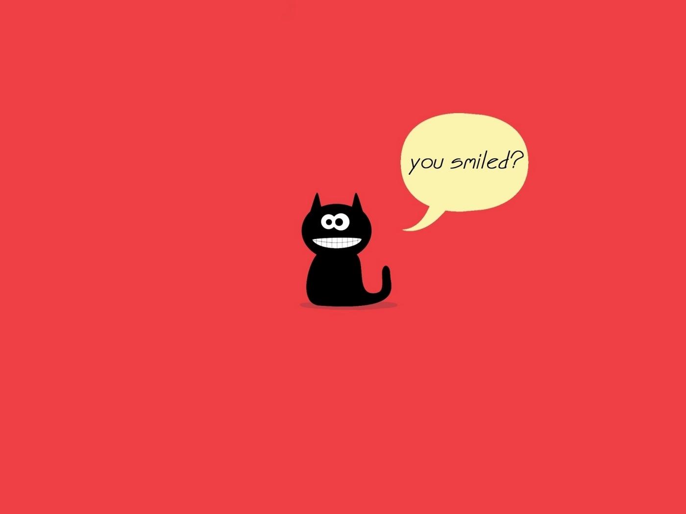 1400x1050 Wallpaper Cat, Drawing, Words Wallpaper For A Ipod Touch 5