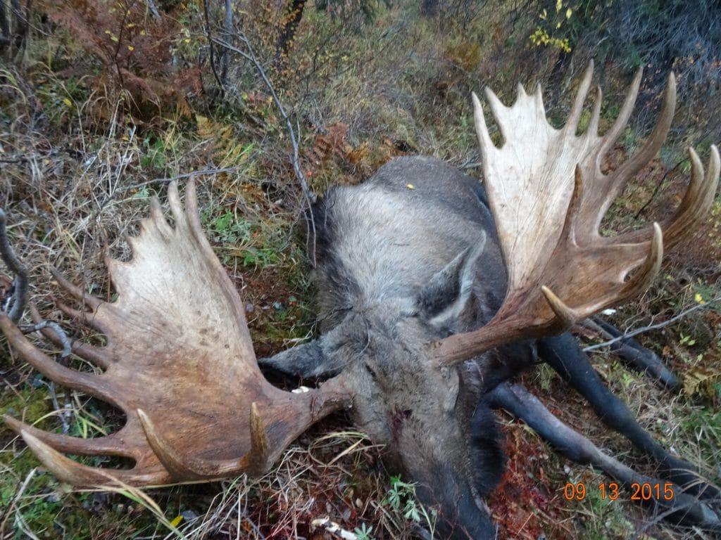 1024x768 Alaska Hunting and Fishing. Arctic North Guides
